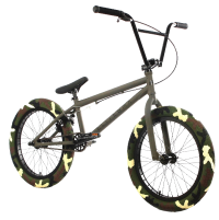 Elite 20" BMX