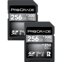 ProGrade Digital 256GB